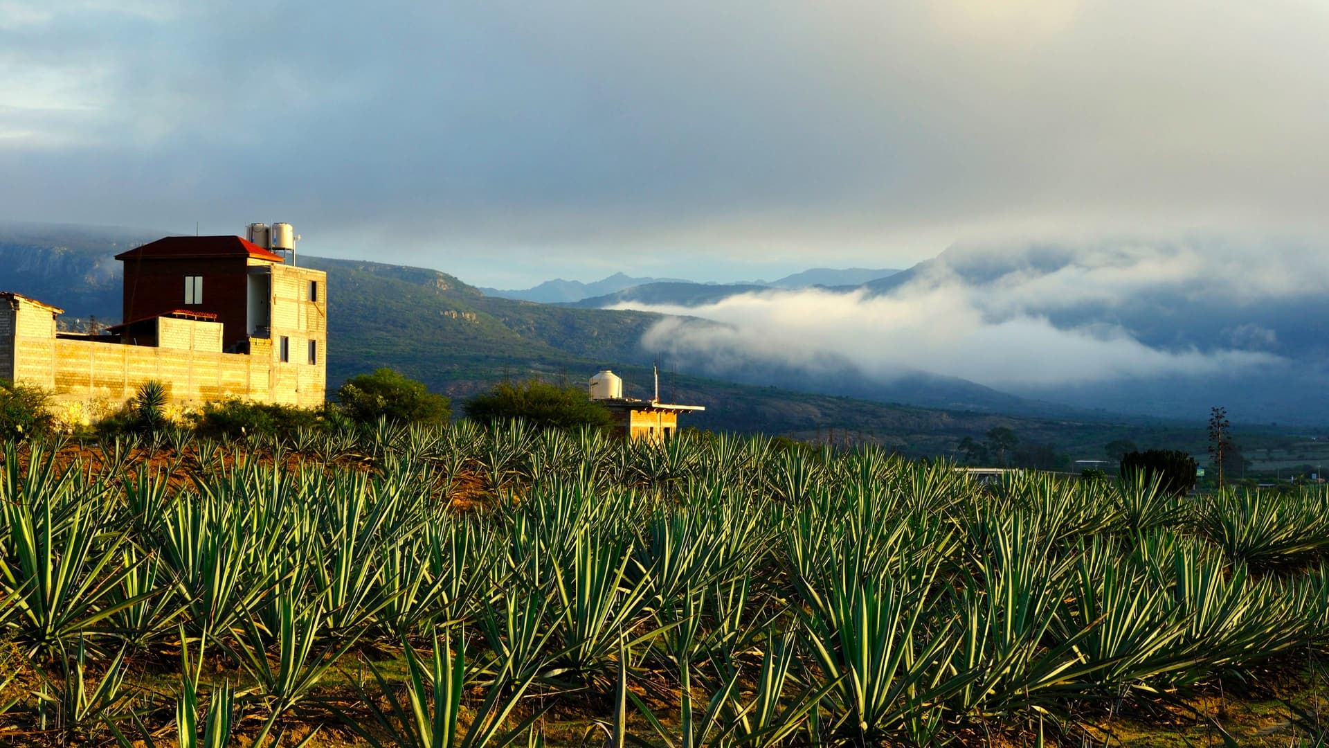 Oaxaca e sud indigeno