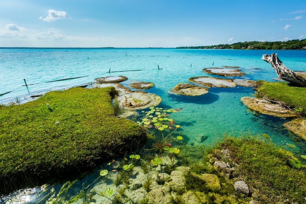 Laguna di Bacalar (Laguna dei sette colori)